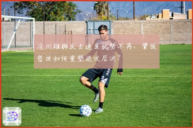 沧州雄狮反击速度优势不再，肇俊哲该如何重塑进攻层次？