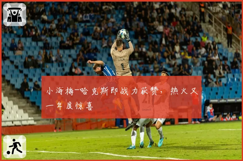 小海梅-哈克斯即战力获赞，热火又一年度惊喜