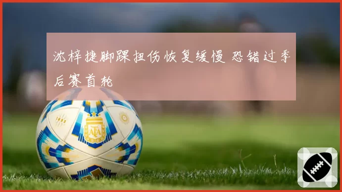 沈梓捷脚踝扭伤恢复缓慢 恐错过季后赛首轮