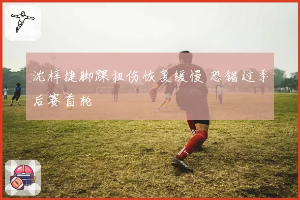 沈梓捷脚踝扭伤恢复缓慢 恐错过季后赛首轮